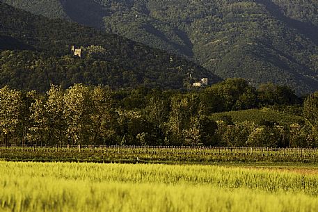 Castelli di Zucco e Cuccagna